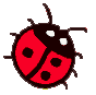 hallo